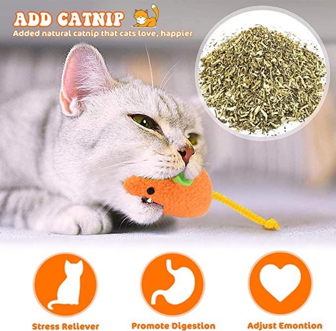 Cat Toy - 6 Pieces Mouse Plush Toys, Realistic Cute Kitten Mice Filled With Catnip