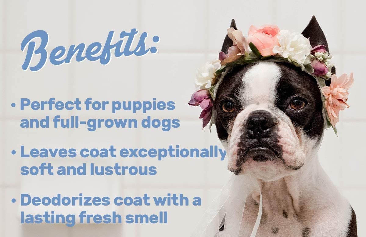 Breedo (Combo of 3) Dog 5 in 1 Shampoo +Anti-Itch Shampoo(500 ml)+ 100 ml Perfect Dog Body Deodorizer Spray Natural Itch Relief Dog Shampoo for Labrador, German Shepherd, Golden Retriever