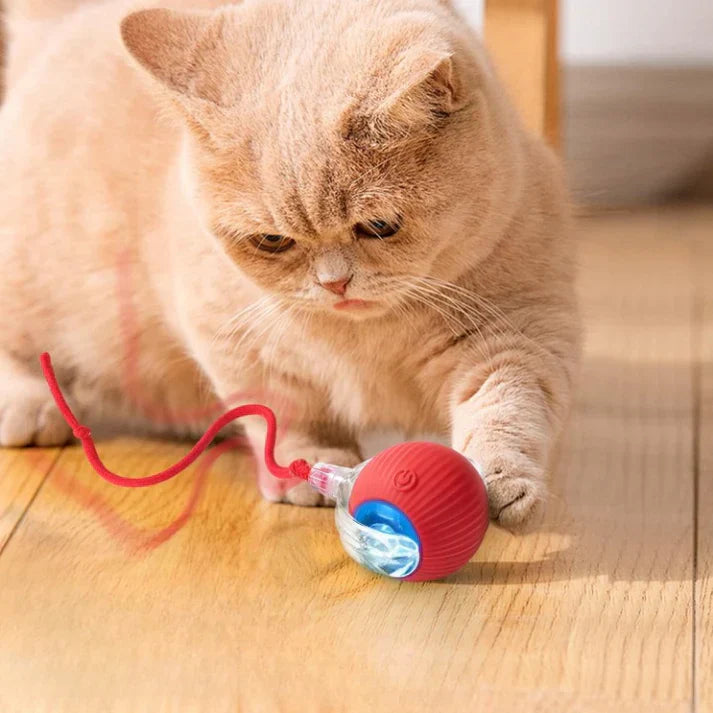 Interactive Cat Toy Balls