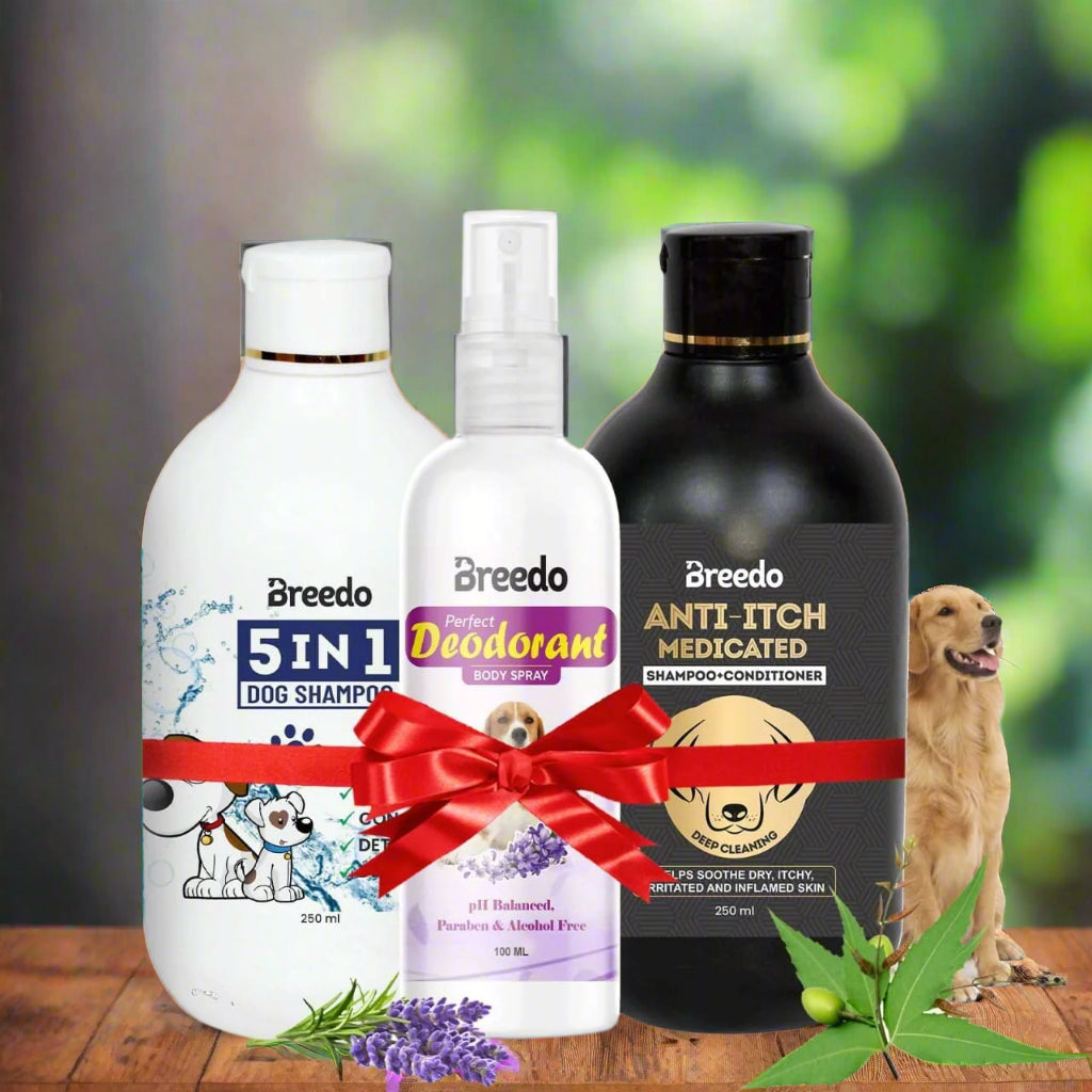 Breedo (Combo of 3) Dog 5 in 1 Shampoo +Anti-Itch Shampoo(500 ml)+ 100 ml Perfect Dog Body Deodorizer Spray Natural Itch Relief Dog Shampoo for Labrador, German Shepherd, Golden Retriever