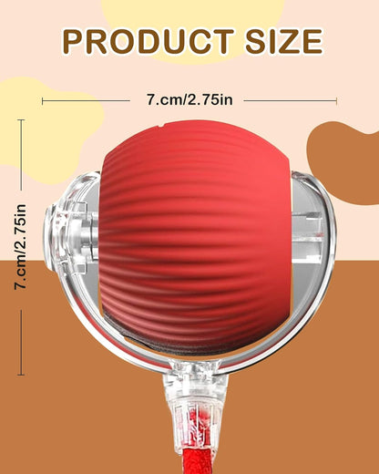 Interactive Cat Toy Balls