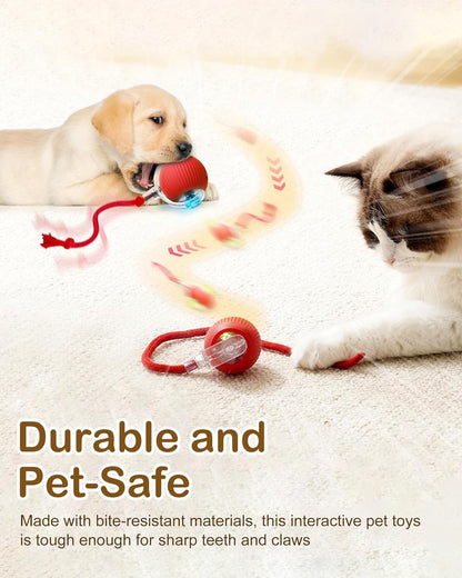 Interactive Cat Toy Balls