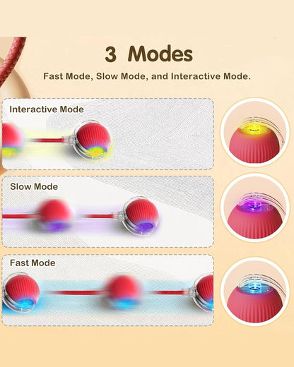 Interactive Cat Toy Balls