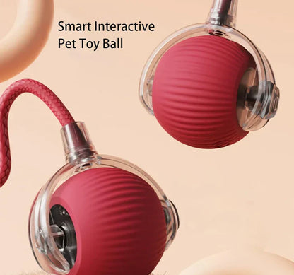 Interactive Cat Toy Balls