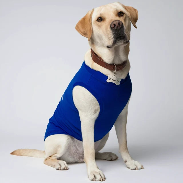 Petsberg® Dog T-Shirts - Plain