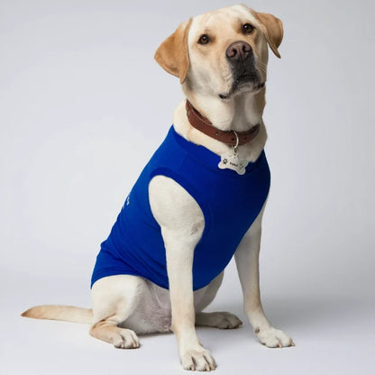 Petsberg® Dog T-Shirts - Plain