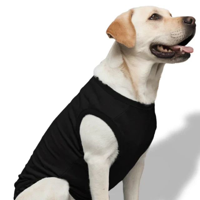 Petsberg® Dog T-Shirts - Plain