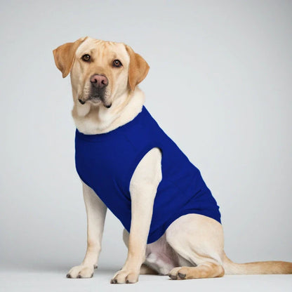 Petsberg® Dog T-Shirts - Plain